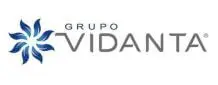 Proveedor de vehículos eléctricos para Grupo Vidanta en México