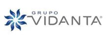 proveedor de vehículos eléctricos para Grupo Vidanta en resorts turísticos