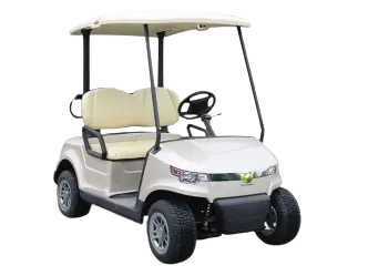 Carro de golf eléctrico XEM de 2 pasajeros para uso personal o resorts