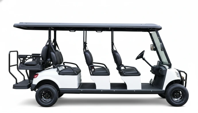 Buggy 6+2