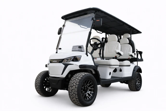 Buggy 6 pasajeros