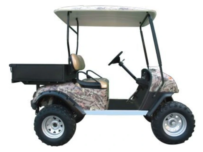 Buggy 2 Pasajeros  con Caja de Carga