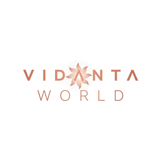Proveedor de vehículos eléctricos para Vidanta World en México