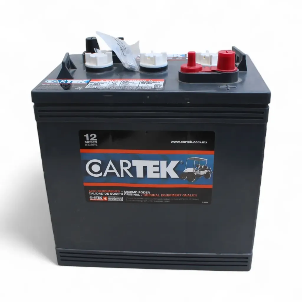 [WFR00000002] BATERÍA CARTEK 6V