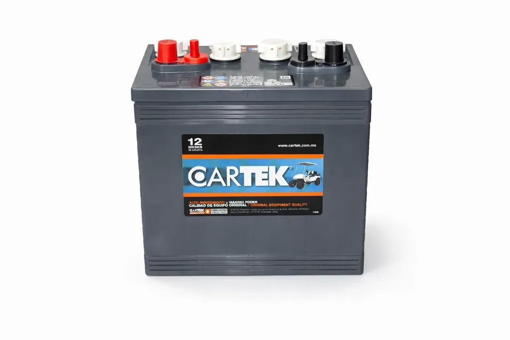 [WFR00000001] BATERÍA CARTEK 8V